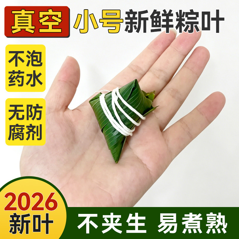 焙小姐粽叶新鲜粽子叶小号迷你的