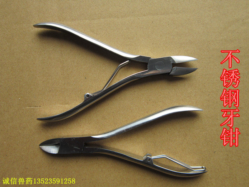 兽用 不锈钢加厚小猪牙钳 养猪设备 养殖设备 兽用 小猪剪牙钳