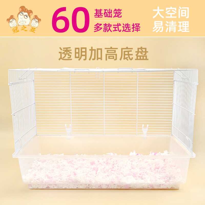 透明底双层别墅超大空间裸笼仓鼠