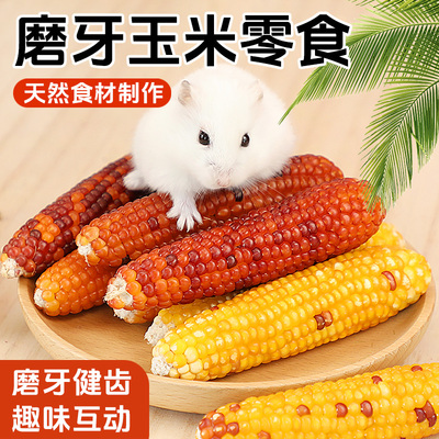 冠之亚仓鼠磨牙玉米小零食兔子豚鼠龙猫饲料金丝熊粮食玉米磨牙棒