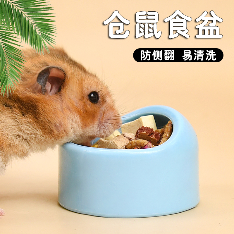 仓鼠碗小食碗金丝熊专用防侧翻大号食盆防飞溅斜口喂食碗造景用品