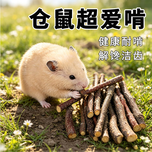仓鼠磨牙棒兔子苹果树枝磨牙棒龙猫豚荷兰猪可食天然健康纤维啃咬