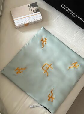 插电式加热艾绒坐垫子