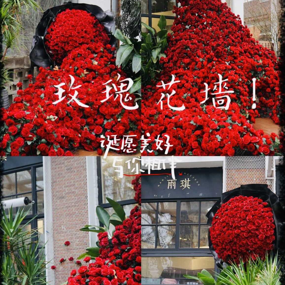 玫瑰花瀑布墙网红打卡