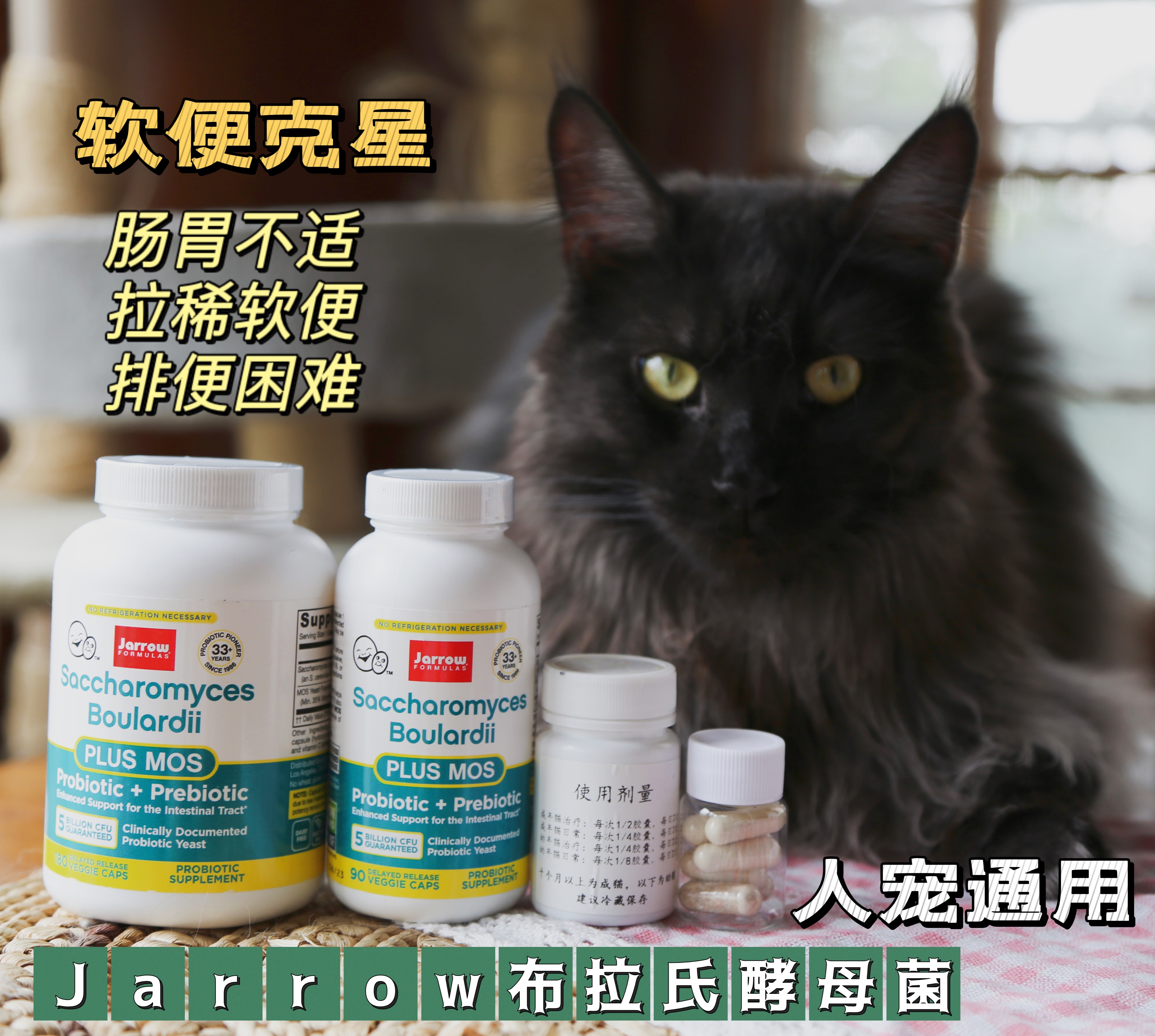 【PPC】美国Jarrow布拉氏酵母菌布拉迪猫狗宠物益生菌肠胃现货