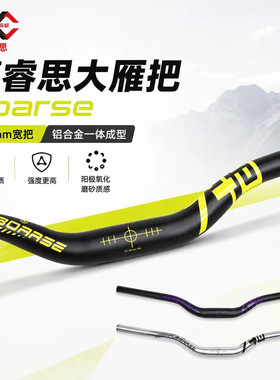BOARSE740*55大角度BMX车把