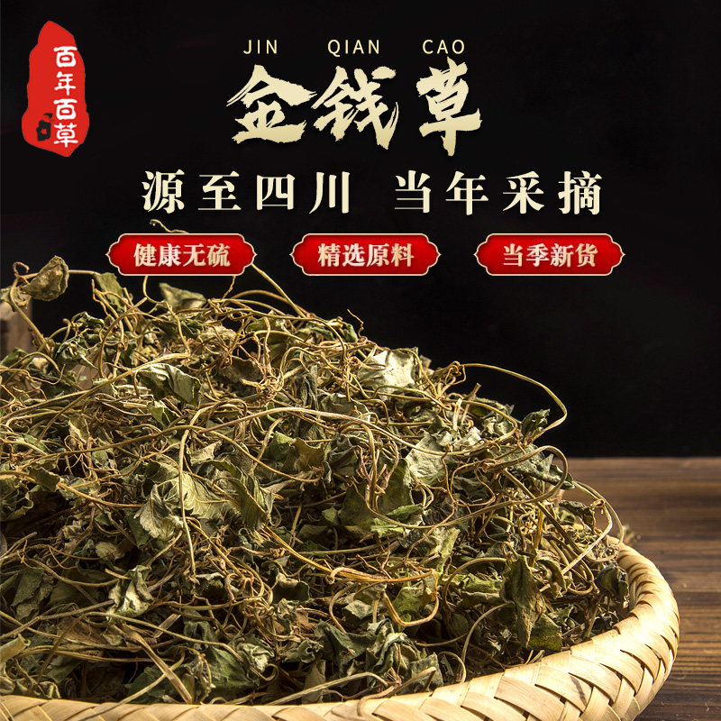 金钱草四川野生大叶500克手工挑选中草药材当季新品翠绿色过路黄