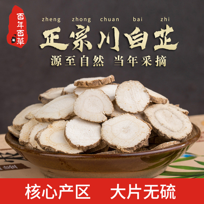 白芷中药材四川遂宁特级精选大片无硫500克正品香料做面膜可打粉
