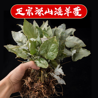 淫羊藿中药材正宗整株正品深山淫羊藿叶根500g泡水泡酒仙灵脾