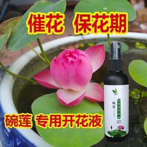 碗莲专用营养液睡莲荷花防黄叶催芽促开花肥料水培营养液水溶肥