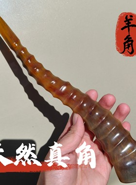 藏区天然羊角整根磨粉养生入药清热解火文玩摆件外蒙羊角真中药材