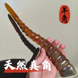 藏区天然羊角整根磨粉养生入药清热解火文玩摆件外蒙羊角真中药材