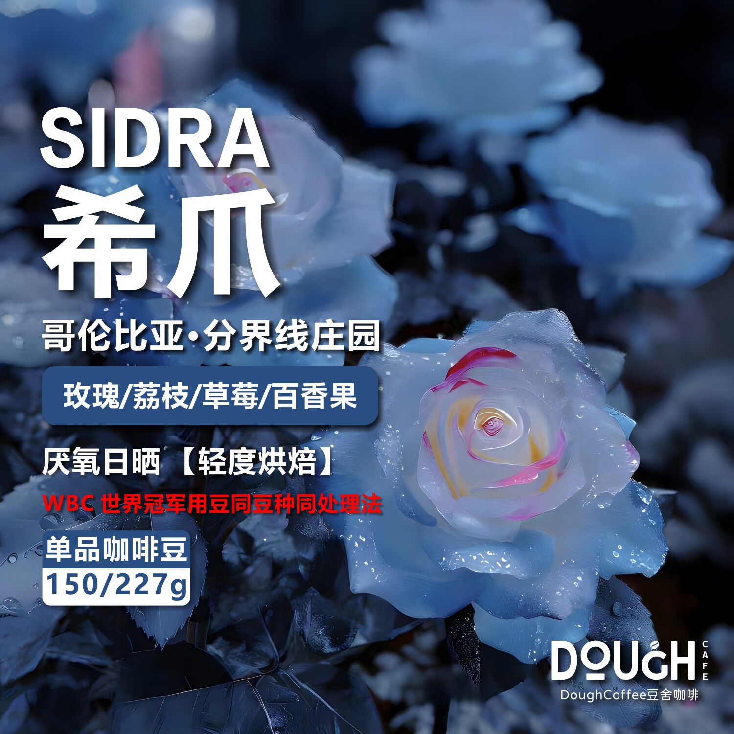 哥伦比亚·分界线庄园·希爪手冲咖啡豆冷萃咖啡WBC 世界冠军用豆