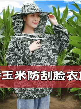 玉米地防迷眼防护服秋季甘蔗苞谷
