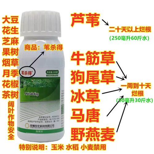 杀冰草精喹禾灵除草剂量大批发