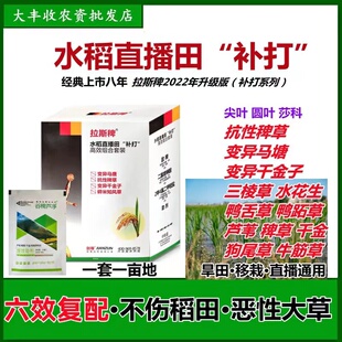 拉斯稗水稻田苗后专用除草剂稗草黄棒敌稗马塘千金子除草神剂