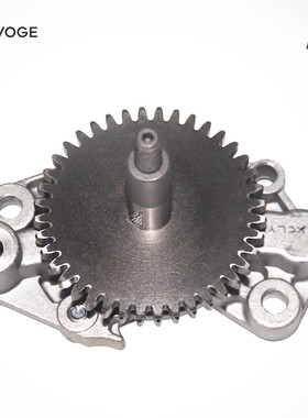 无极机车LX300GY LX300AC LX300R LX300RR LX300DS原装机油泵