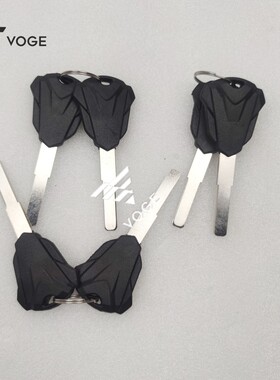 无极200R250RR300R/RR/AC/GY 500R 500 525DS/RR 650DS钥匙坯备用