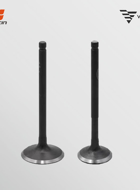 VOGE无极250RR LX250GS-3隆鑫KE250发动机原厂配件进气门排气门