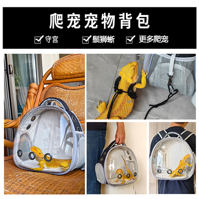 豹纹守宫蜥蜴小宠爬宠宠物背包外出鬃狮蜥蜴用品外带盒手提箱