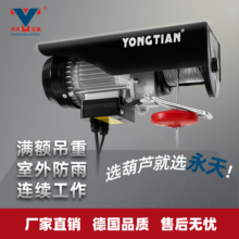 微型电动葫芦220V家用小型吊机1T0.5吨卷扬提升机绞盘升降起重机