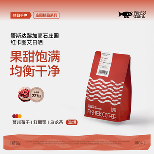 Fisher 227g 啡舍哥斯达黎加高石庄园红卡图艾日晒手冲咖啡豆