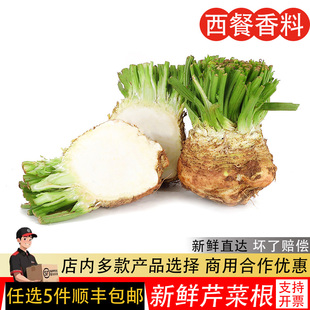 根芹新鲜食用500g洋芹celeriac西餐食材香料蔬菜芹菜根球块根塘蒿