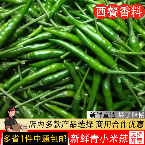 新鲜青辣椒青色小米辣 泰国越南菜食材绿色朝天椒小米辣椒小尖椒