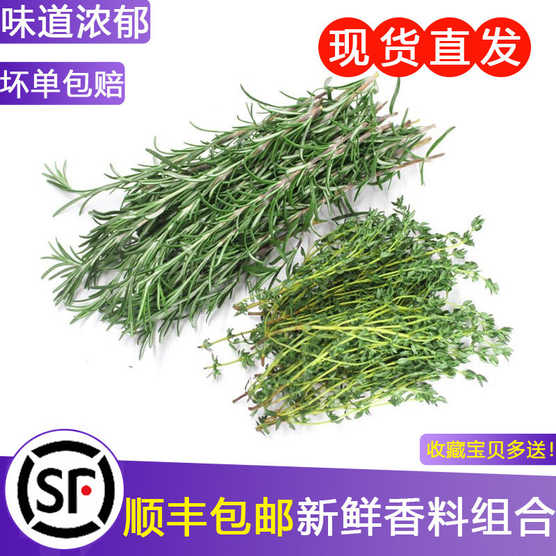 新鲜迷迭香百里香200g食用西餐牛排用烘焙烧烤调料配料蔬菜香料菜