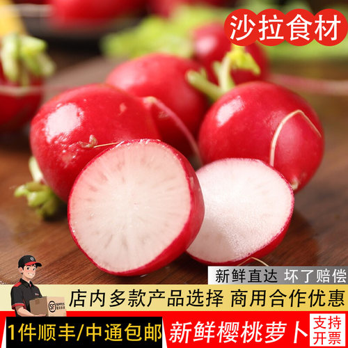 樱桃萝卜新鲜小萝卜迷你沙拉食材