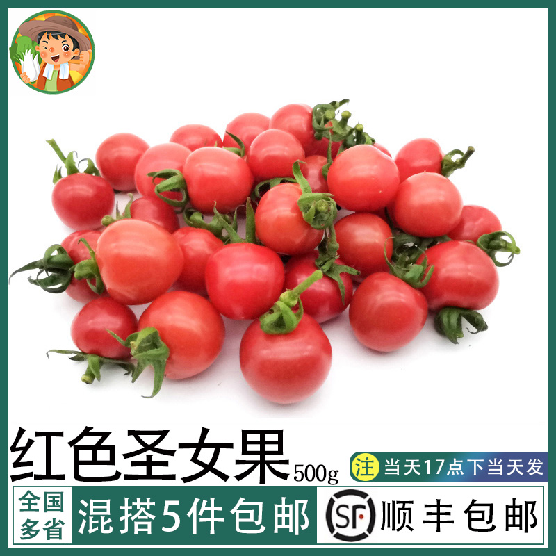 新鲜圣女果小番茄樱桃西红柿