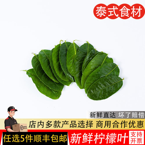 冬阴功汤料新鲜国产柠檬叶西餐