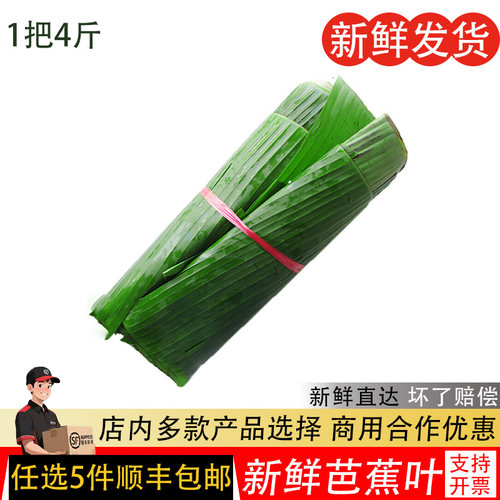 芭蕉叶4斤新鲜农家香蕉叶糍粑