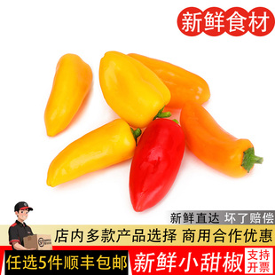 甜椒新鲜蔬菜水果椒250g迷你小辣椒红黄彩椒小彩椒沙拉西餐食材