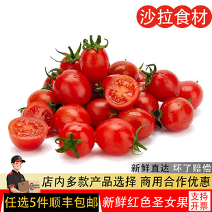 圣女果新鲜小番茄水果当季西红柿自然熟生吃沙拉蔬菜千禧果1000g