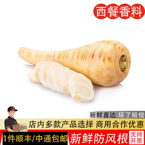 新鲜防风根欧洲萝卜品种 新鲜蔬菜parsnip法国西餐烘焙烤制食用
