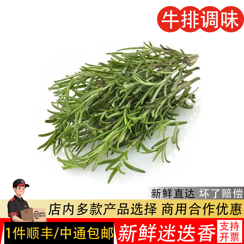 新鲜迷迭香牛排用食用香料西餐