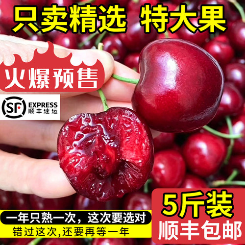 山东大樱桃新鲜水果顺丰包邮