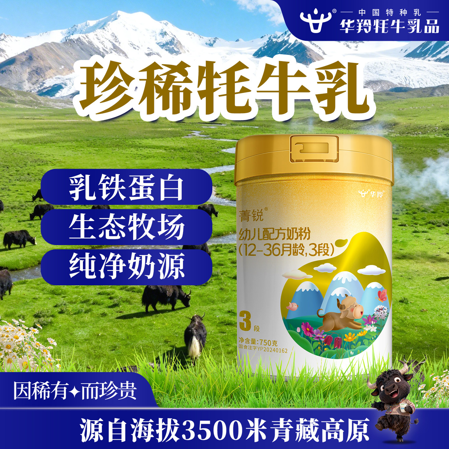 华羚菁锐牦牛奶粉婴幼儿配方奶粉3段三段(12-36月龄)750g罐装婴配