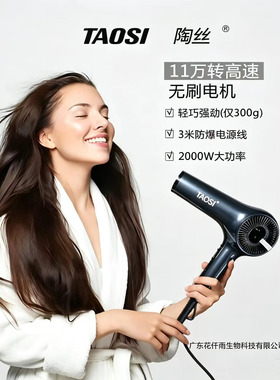 韩式高速吹风机无刷电机2000W大功率理发店用11万转陶丝静音速干