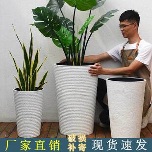 北欧圆形高筒塑料花盆加厚树脂天堂鸟龟背竹客厅