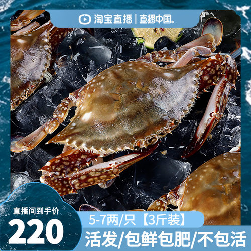 【直播中国】活发舟山梭子蟹活鲜次日达到家新鲜螃蟹保鲜不保活