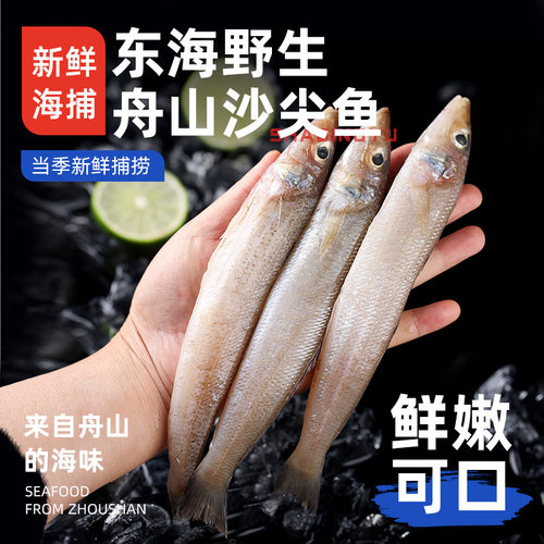 新鲜沙尖鱼冷冻批发尖梭鱼深海捕鱼非鲜活速冻舟山沙丁鱼旗舰店