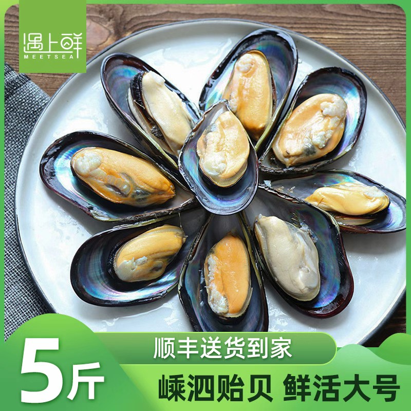 【包肥/顺丰】嵊泗大号海虹/淡菜