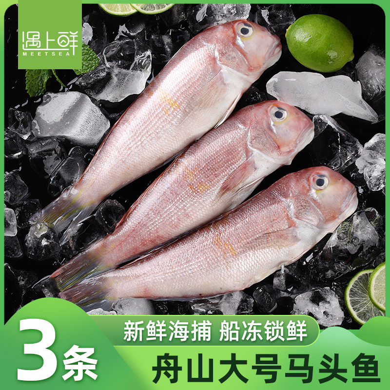 【遇上鲜】舟山海捕马头鱼新鲜速冻方头鱼斧头鱼东海海鲜旗舰店,水产肉类/新鲜蔬果/熟食,其它,淘宝优惠券,粉丝福利购,淘宝优惠卷