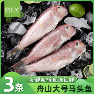 【遇上鲜】舟山海捕马头鱼新鲜速冻方头鱼斧头鱼东海海鲜旗舰店