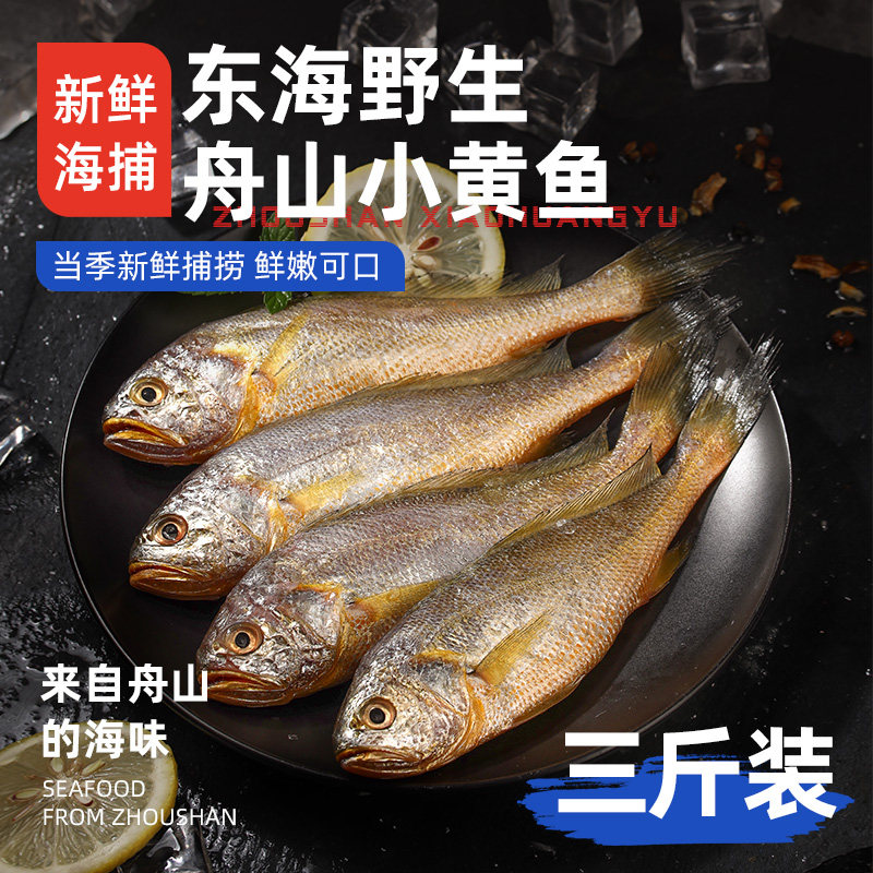 遇上鲜舟山小黄鱼深海捕捞海鱼小黄花鱼生鲜海鲜水产新鲜冷冻烧烤,水产肉类/新鲜蔬果/熟食,黄鱼,淘宝优惠券,粉丝福利购,淘宝优惠卷