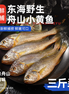 遇上鲜舟山小黄鱼深海捕捞海鱼小黄花鱼生鲜海鲜水产新鲜冷冻烧烤