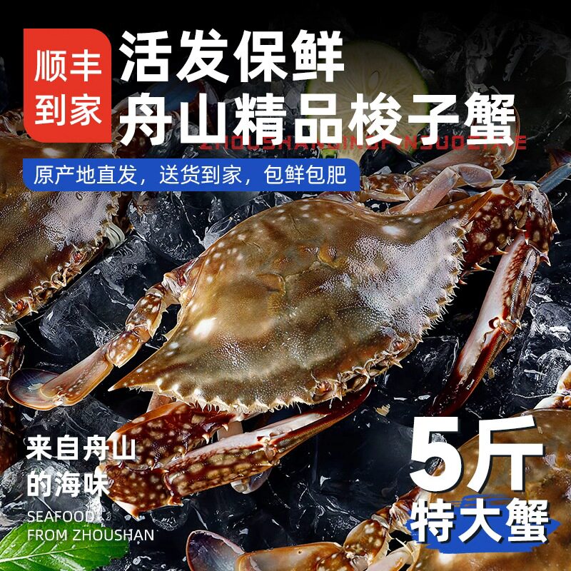 [预售]活发舟山梭子蟹顺丰次日达到家新鲜螃蟹海蟹公蟹保鲜不保活