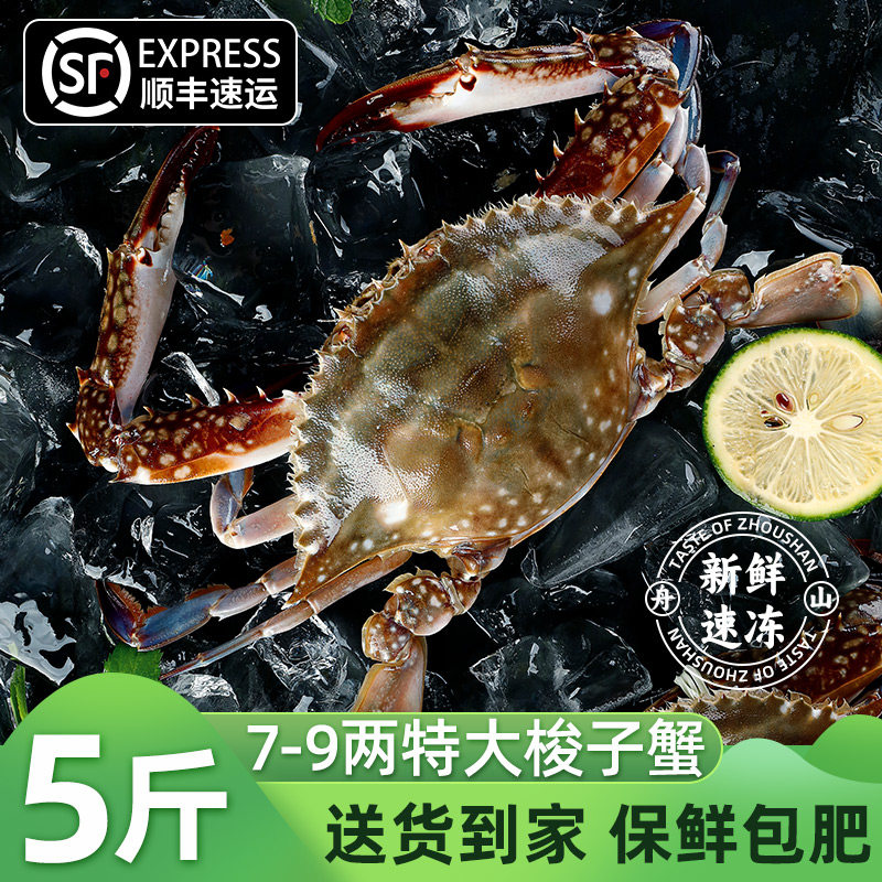 [冻蟹]舟山梭子蟹新鲜生鲜冷冻部分次日达特大螃蟹蜞飞蟹子海蟹